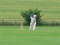 Batting at Shardeloes