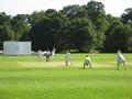2nd XI v NPL Teddington, away