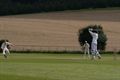 Cann gets despatched